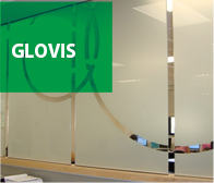 glovis